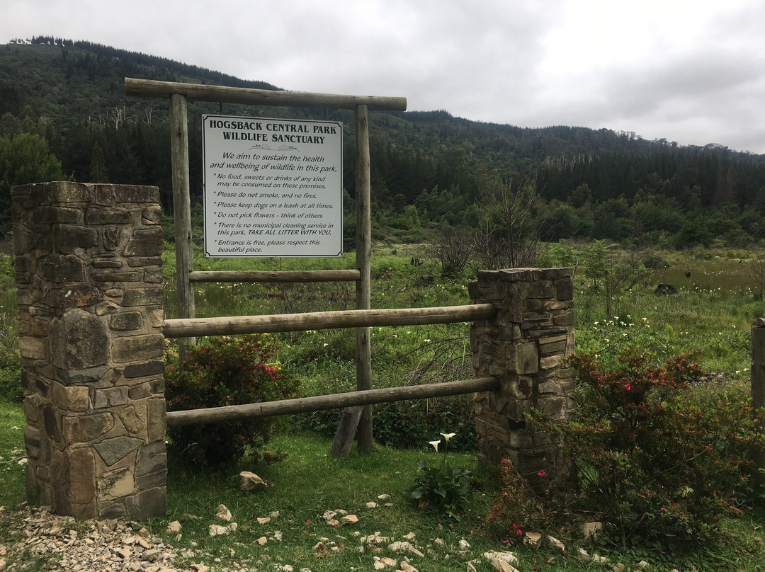 39 Steps-Hogsback必去景点