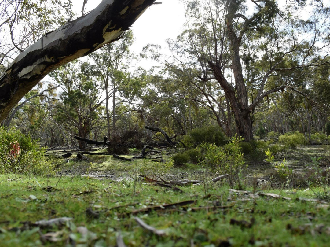 Black Range State Park-Balmoral必去景点
