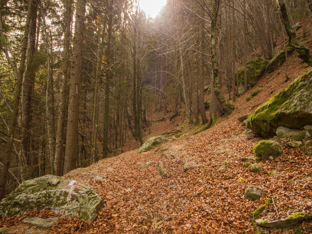 Val Sanguigno-Valgoglio必去景点