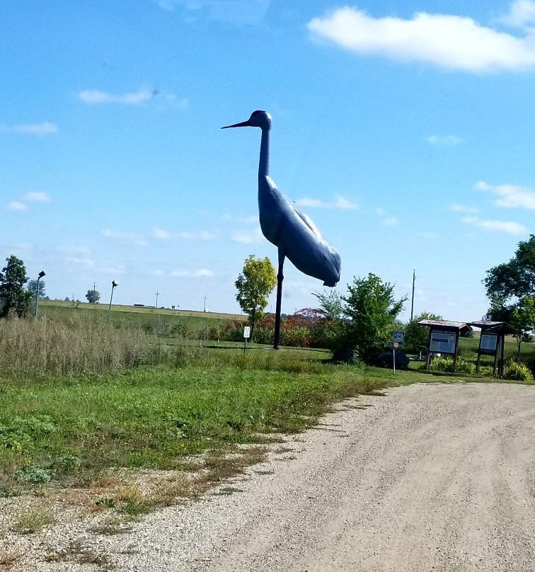 World's Largest Sandhill Crane景点图片
