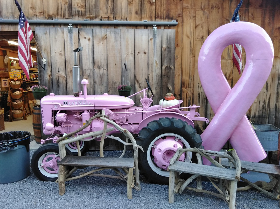 Harvest Moon Pumpkin Patch-塞维尔维尔必去景点