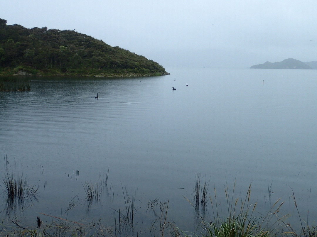 Lake Rotomahana景点图片