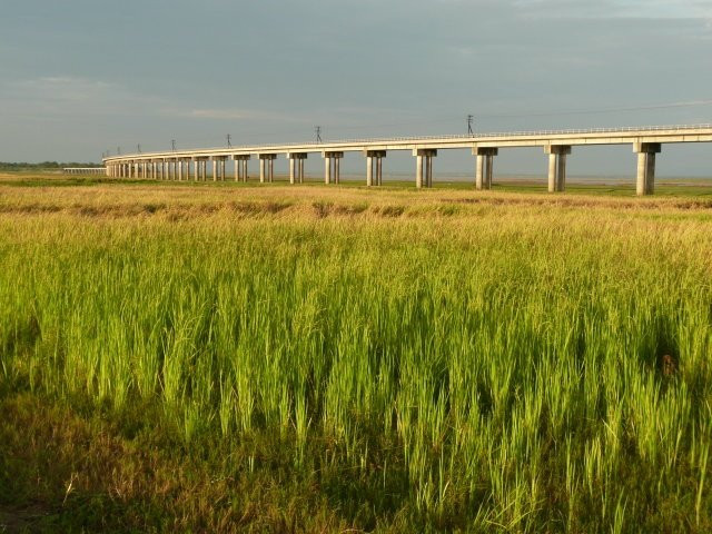 Floating Railway景点图片