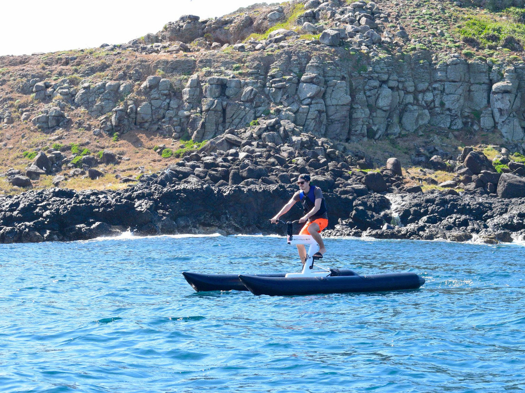 Seaway Water Bike Tours-黄金海岸必去景点