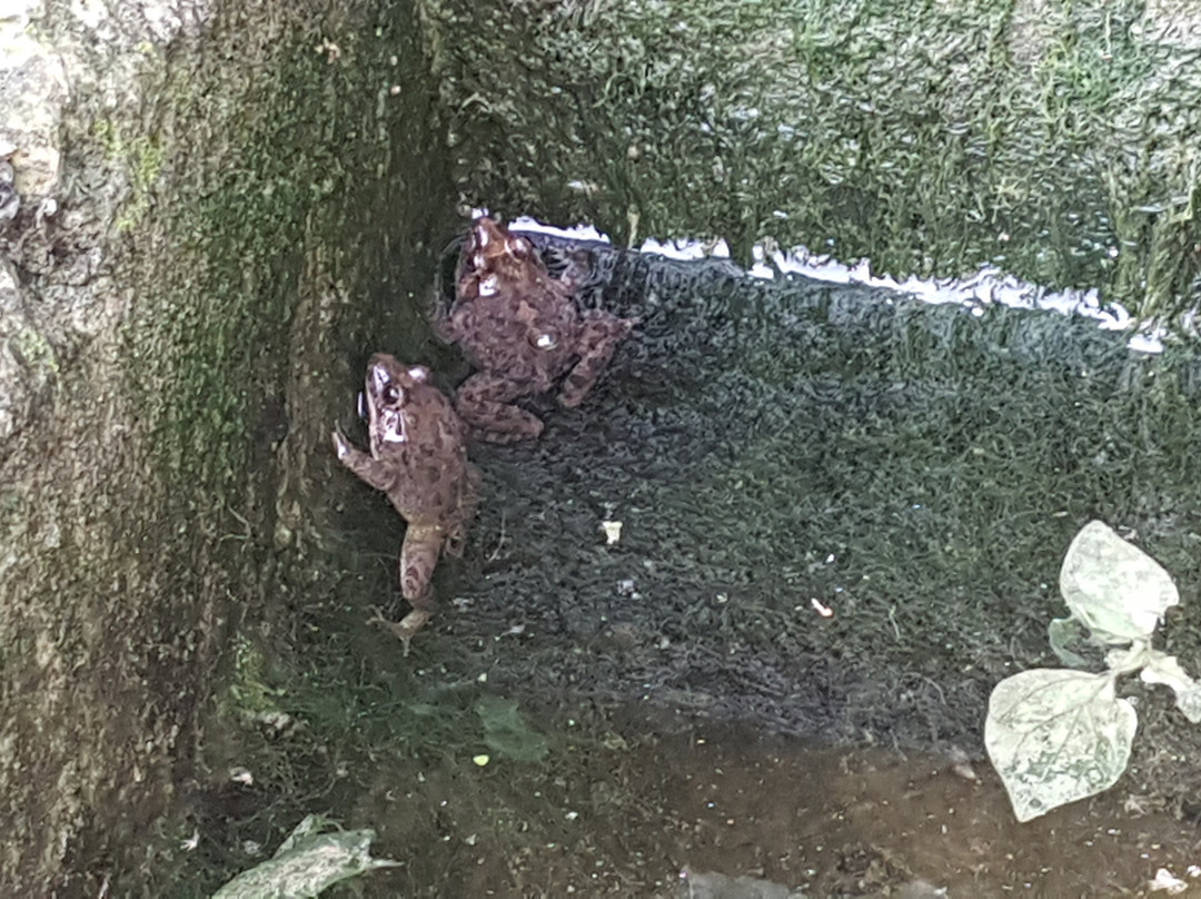 Lunzjata Valley-Kercem必去景点