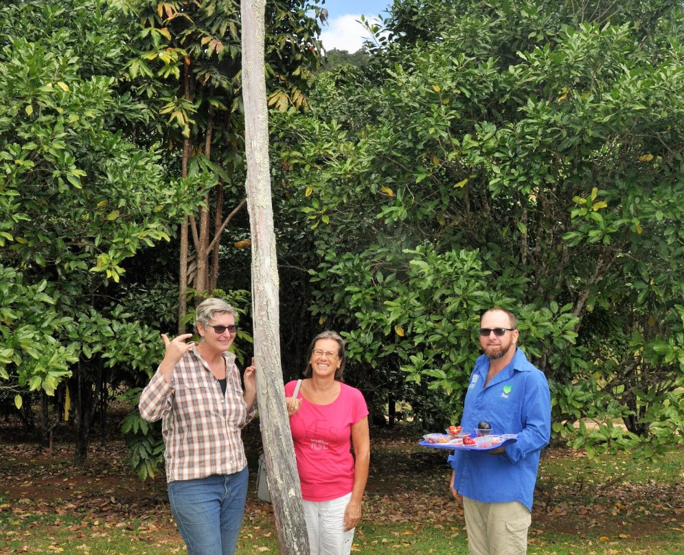 Rainforest Heart tropical Bushfood Orchard-Millaa Millaa必去景点