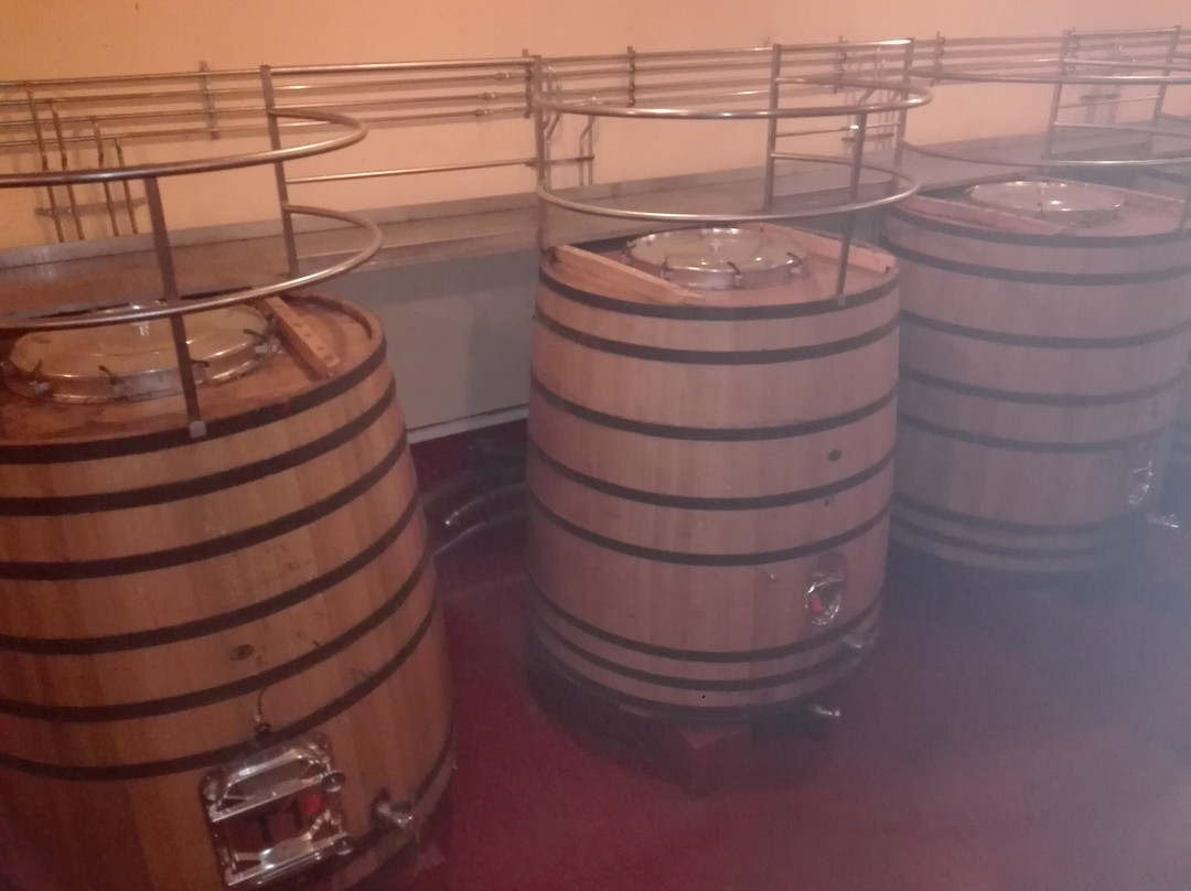 Bodegas Valdubón-Milagros必去景点