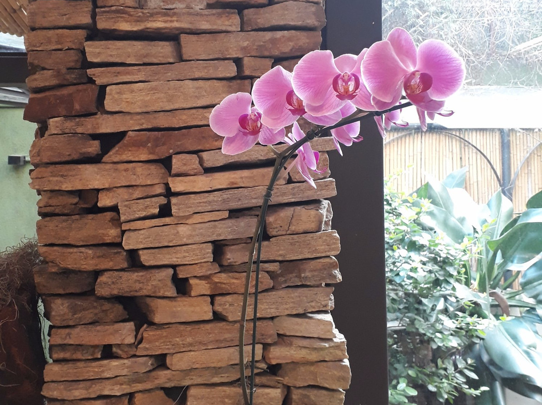 Spa L´Occitane Jardins-圣保罗必去景点