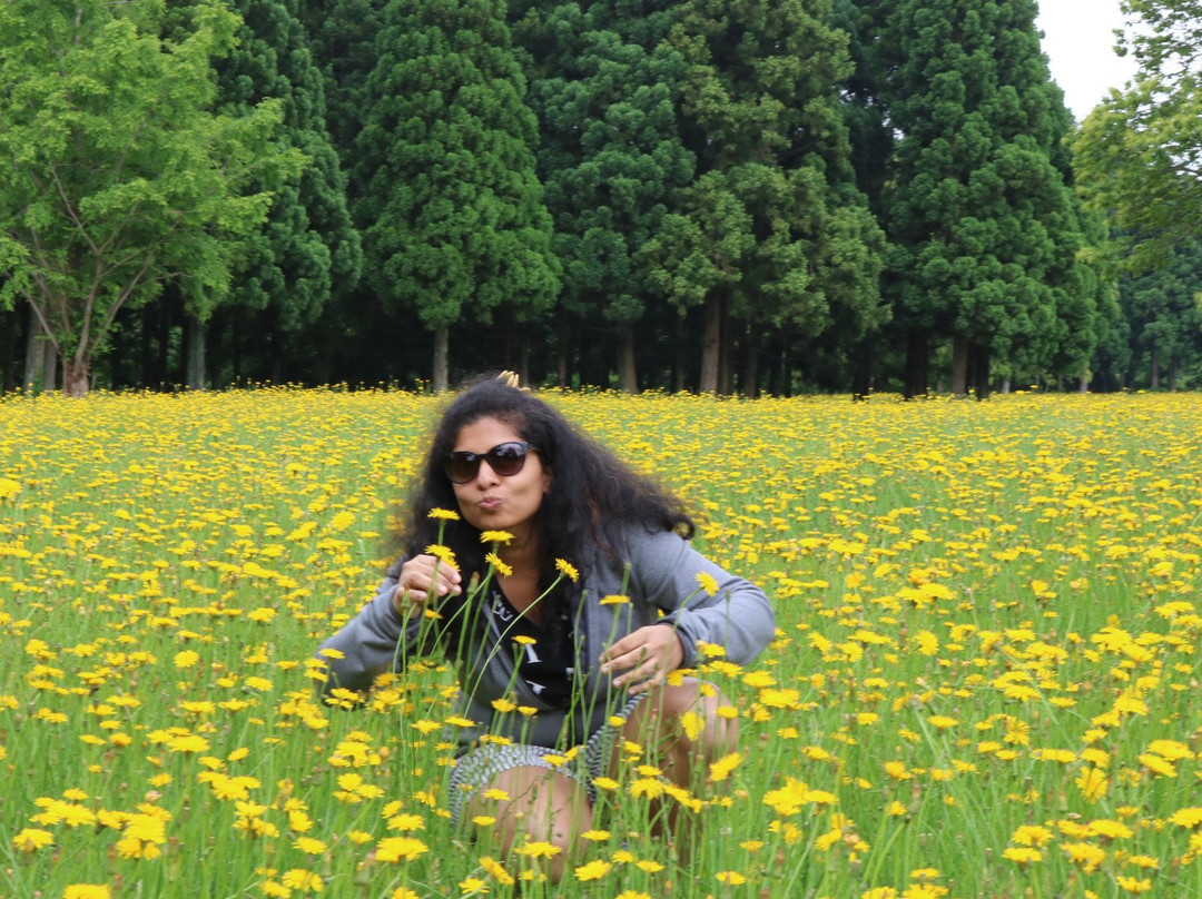 Our Lady of Akita-秋田市必去景点