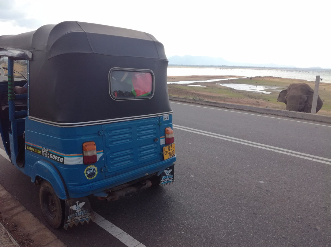 Sri Lanka KIPS Drivers-Nanu Oya必去景点