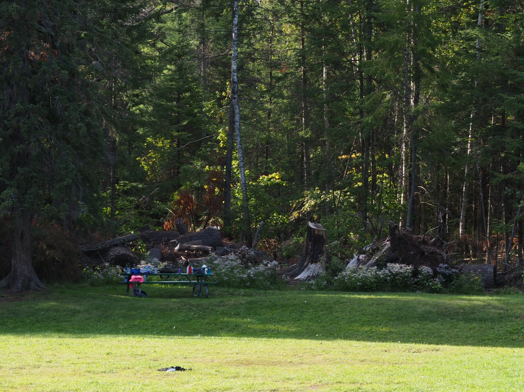 Lester Park-德卢斯必去景点