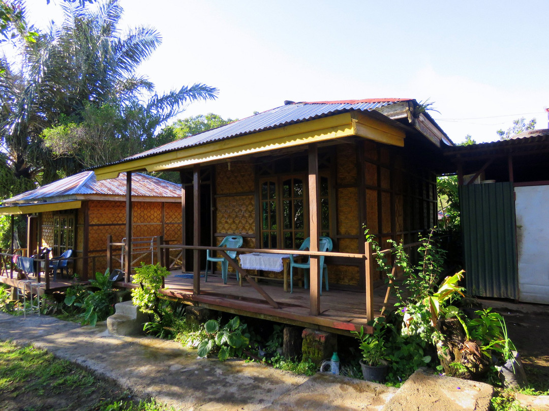 Palm Bungalows