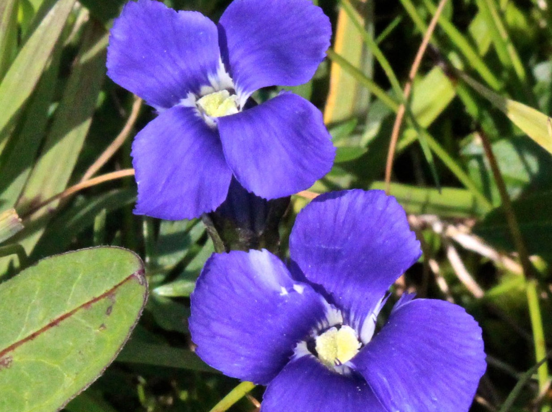 Linkins Lake Trail-阿斯蓬必去景点