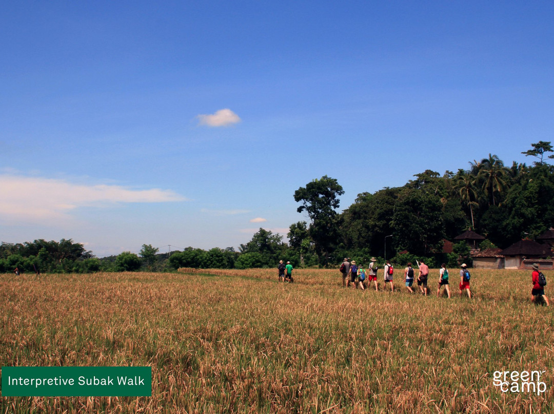 Green Camp Bali景点图片