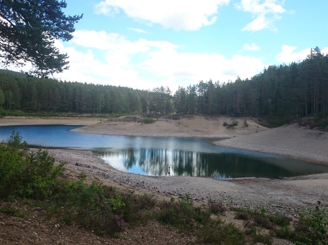 Grontjarn naturreserve景点图片