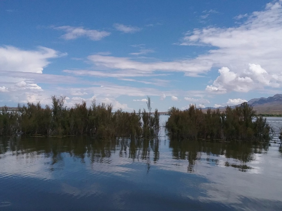 Caballo Lake State Park景点图片