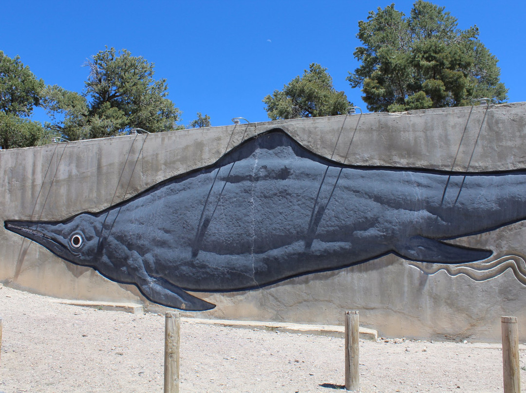 Berlin-Ichthyosaur State Park-Austin必去景点