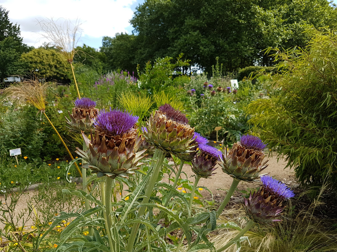 Jardin Botanique de la Charme景点图片