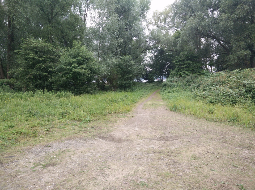 Park de Oeverlanden-阿姆斯特丹必去景点