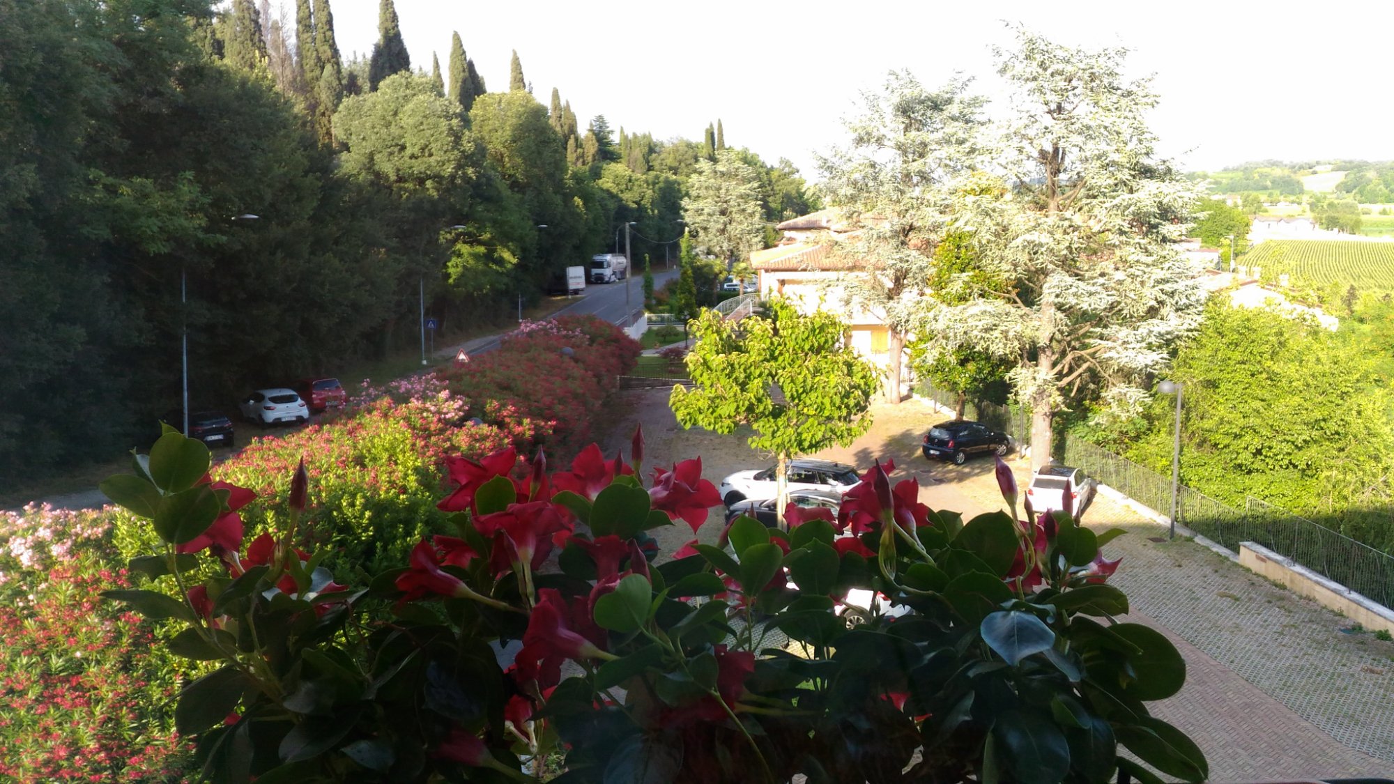 Albergo La Spia d'Italia-酒店景观