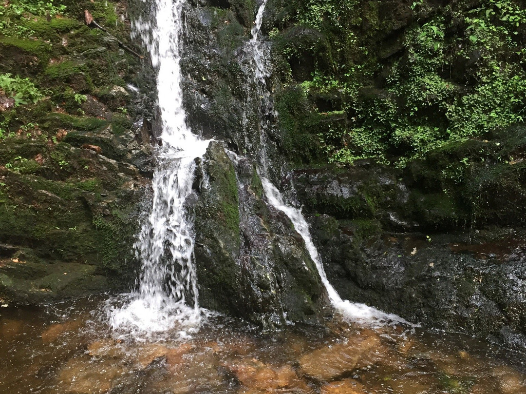 Fitzgerald Falls-Monroe必去景点
