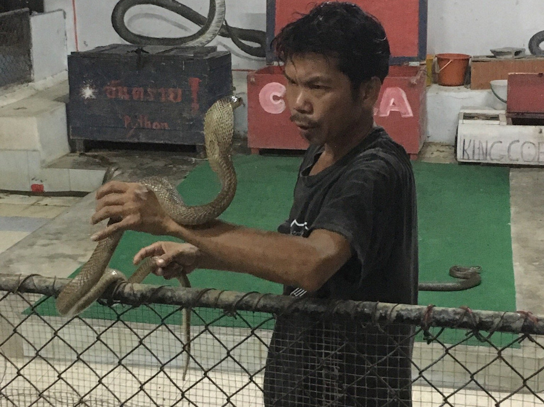 苏梅蛇场-苏梅岛必去景点