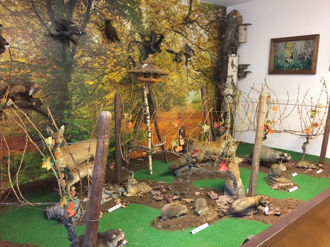 Deutsches Weinbaumuseum景点图片