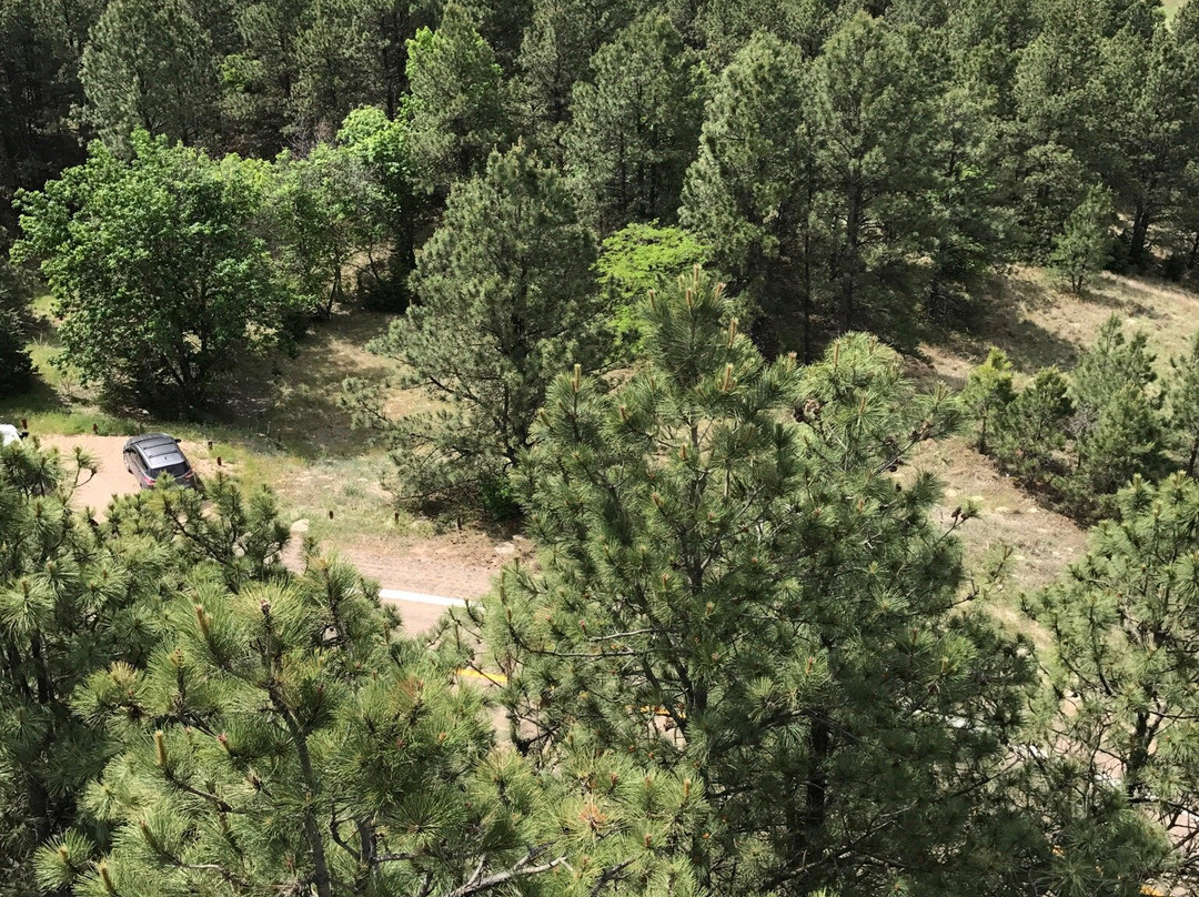 Scott Lookout Tower-Halsey必去景点