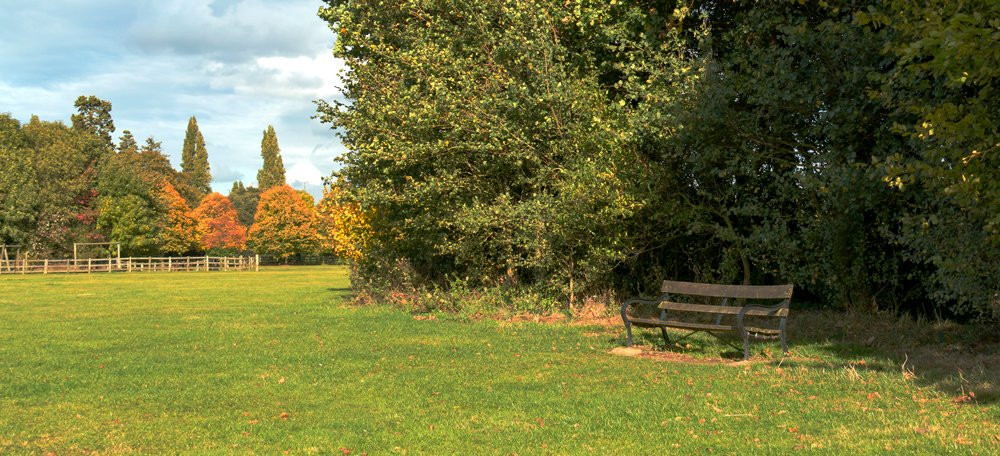Cranford Country Park景点图片
