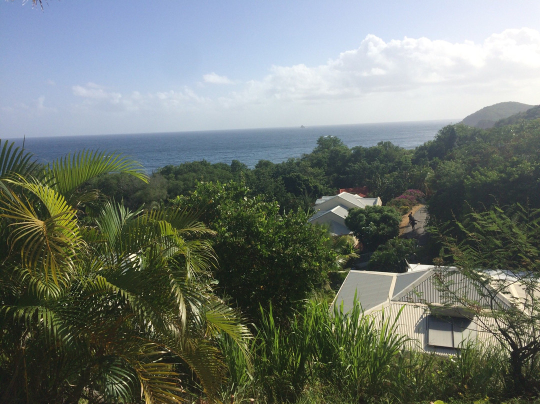 Bliss-La Trinite必去景点