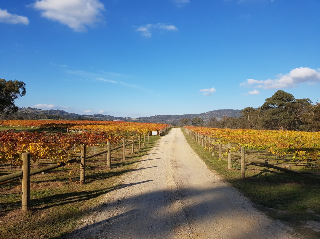Harcourt North旅游景点-Bress Wines