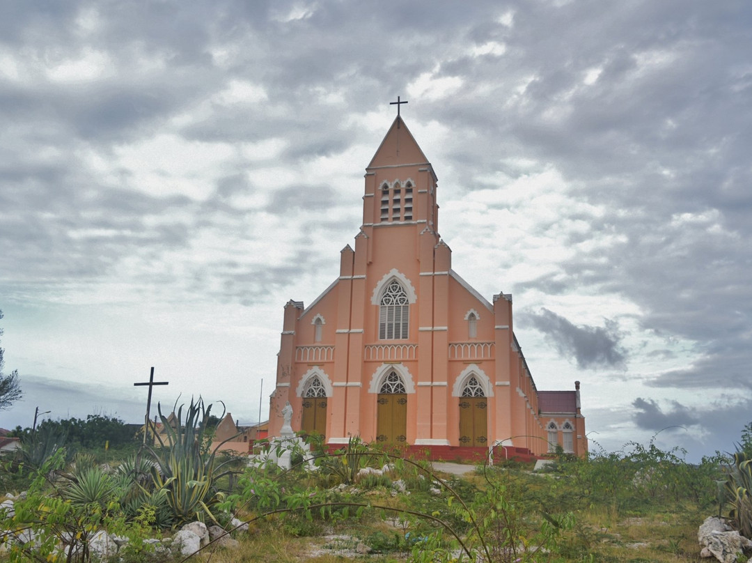 VIP Tours Curacao-威廉斯塔德必去景点