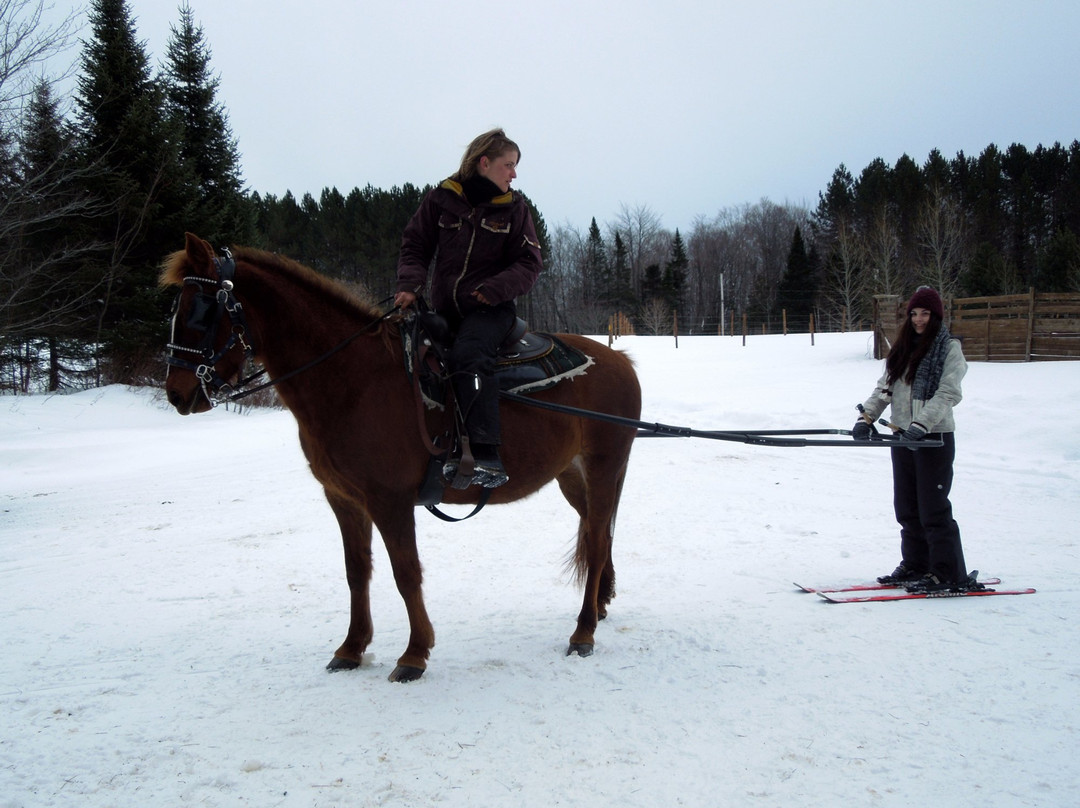 Centre Equestre Le Vent du Sud-Piopolis必去景点