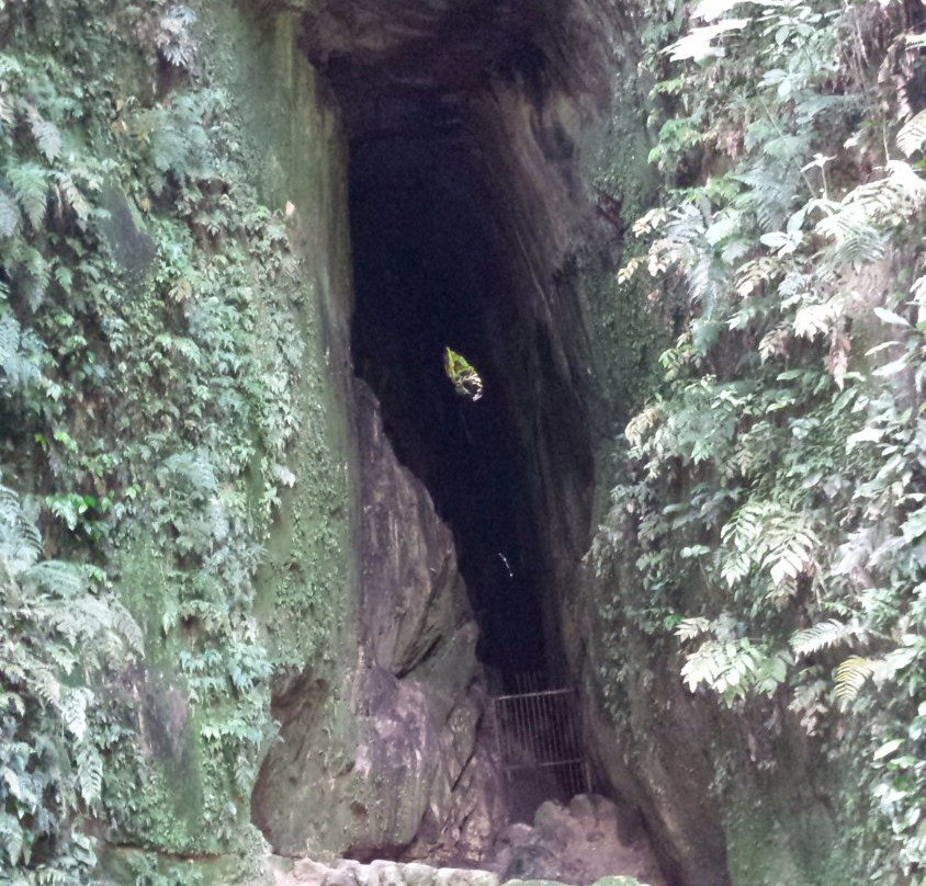 Carrasco National Park-科恰班巴必去景点