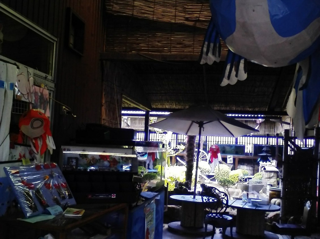 Koriyama Goldfish Museum景点图片
