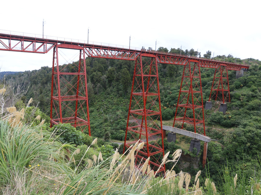 Makatote Viaduct景点图片