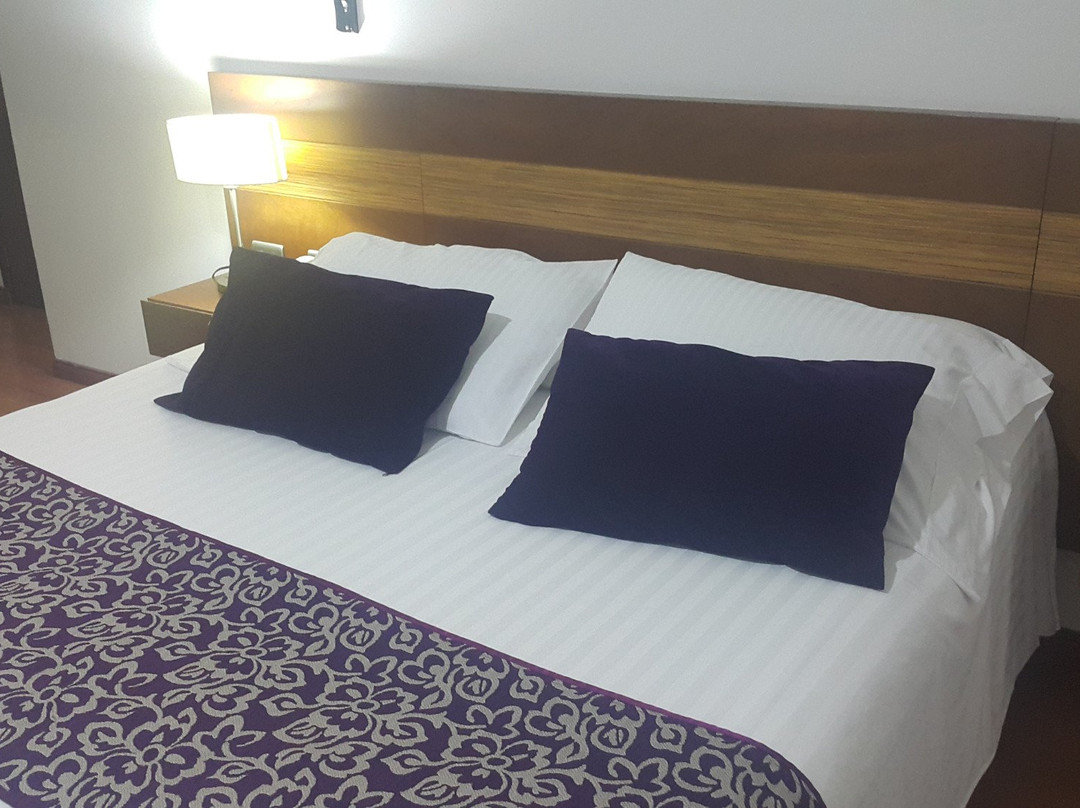 Hotel Vizcaya Plaza主图