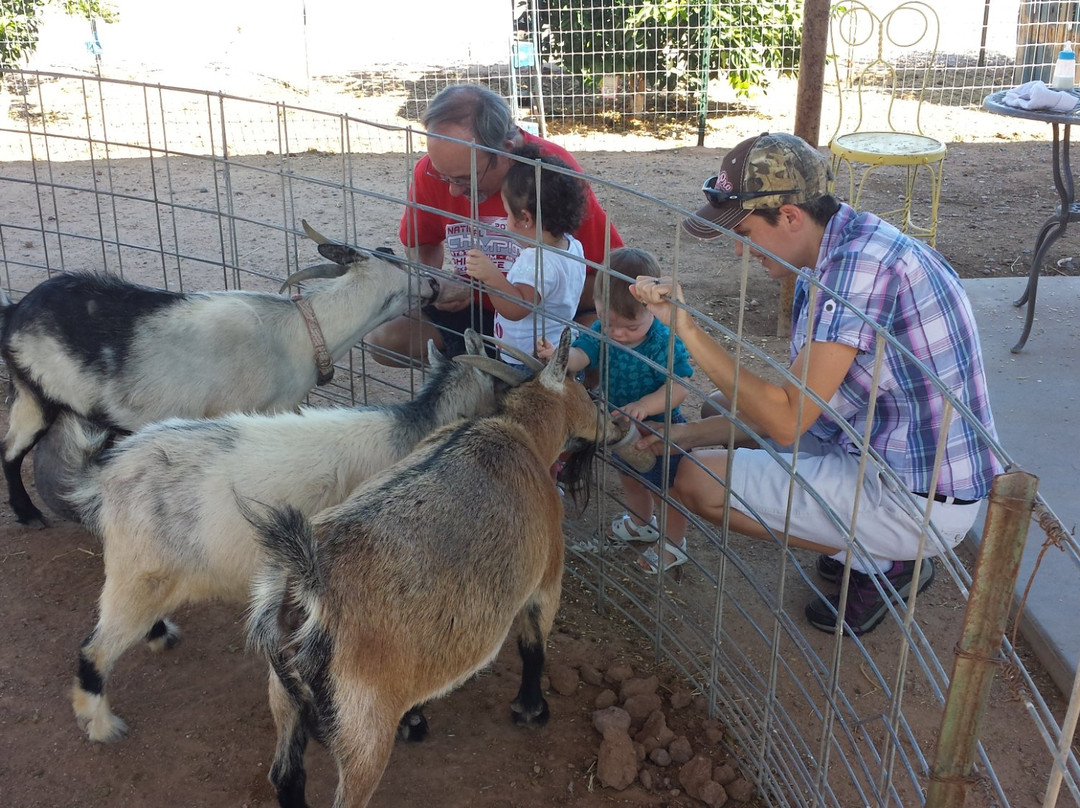 Superstition Farm-梅萨必去景点