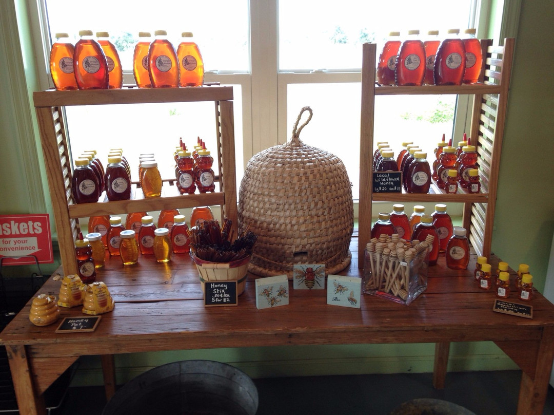 Schacht Groves-维罗海滩必去景点