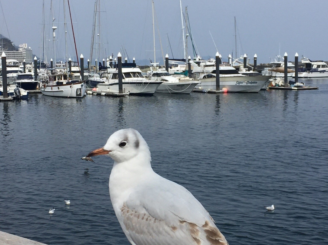 San Remo Park-热海市必去景点