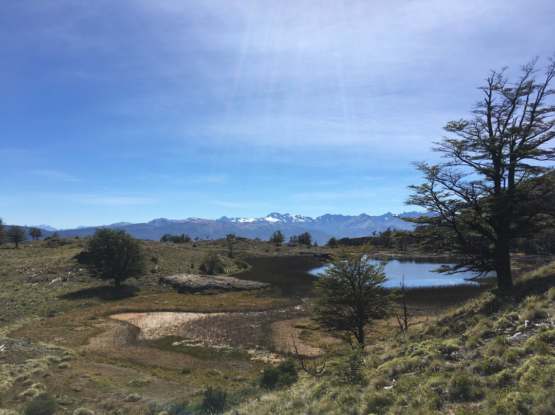 Parque Patagonia景点图片