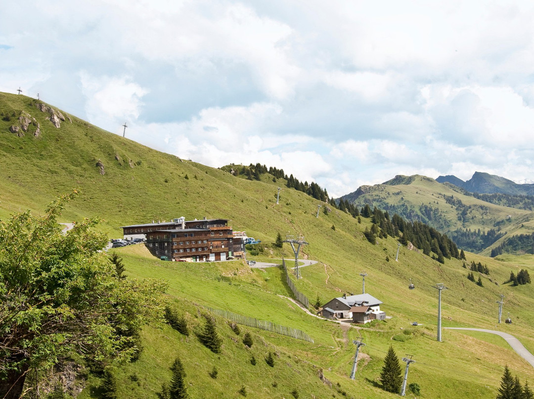 Alpenhaus am Kitzbueheler Horn景点图片