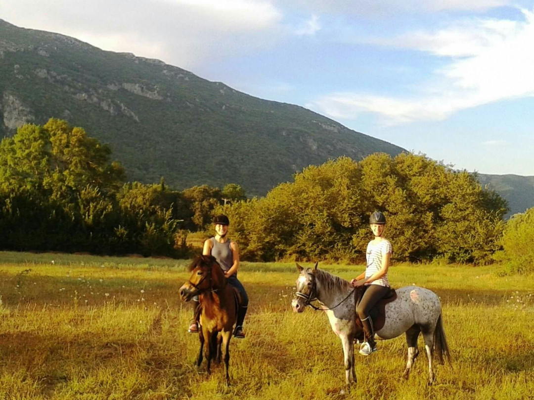 Carolina's Holiday Horses-Skripero必去景点