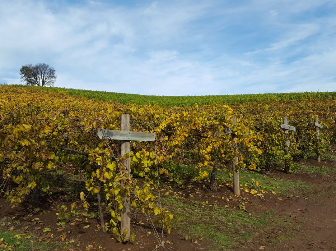 LaVelle Vineyards-尤金必去景点