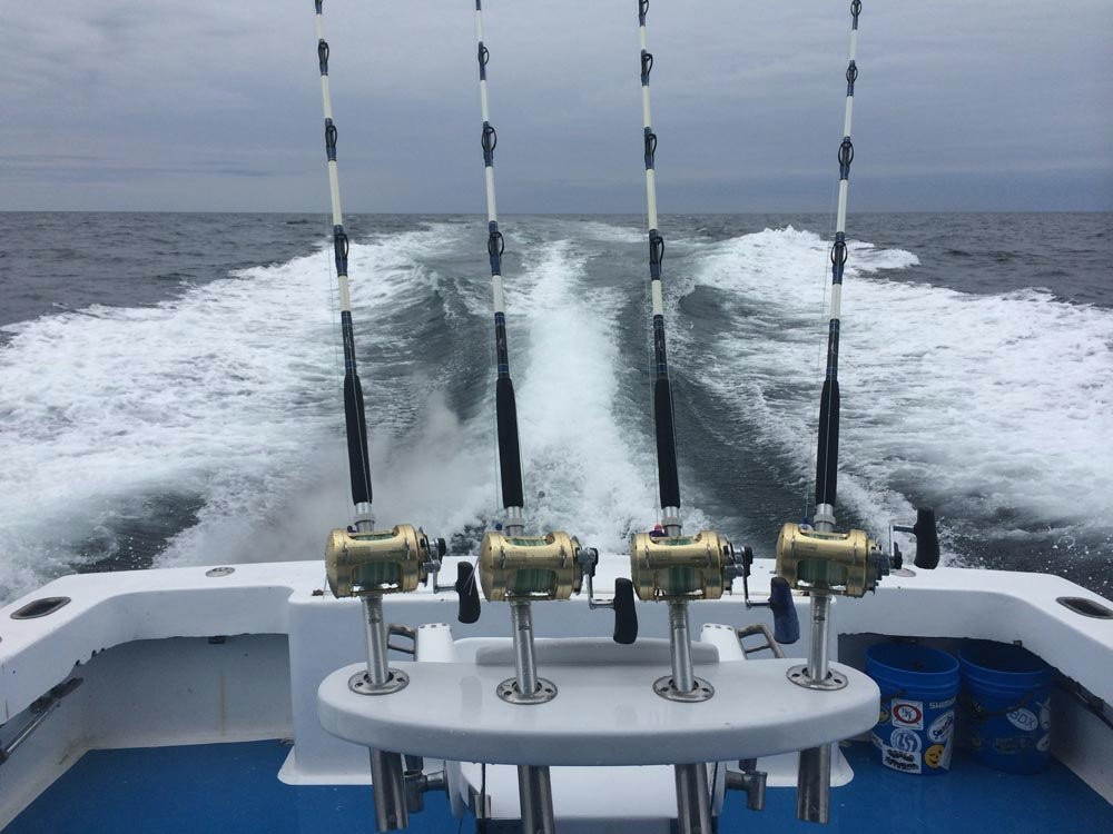 Seaducer Sportfishing Charters-纳格斯海德必去景点