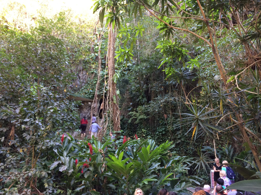 Cueva del Palmarito景点图片