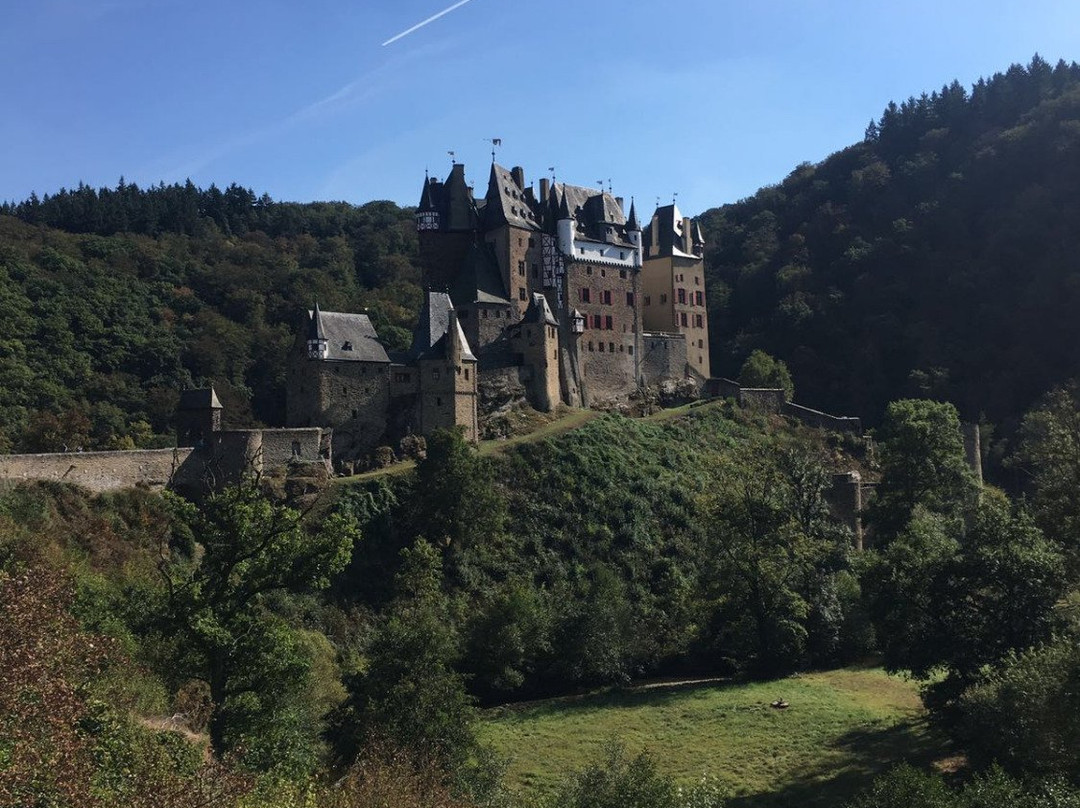 Rheingau Tours-Eltville am Rhein必去景点