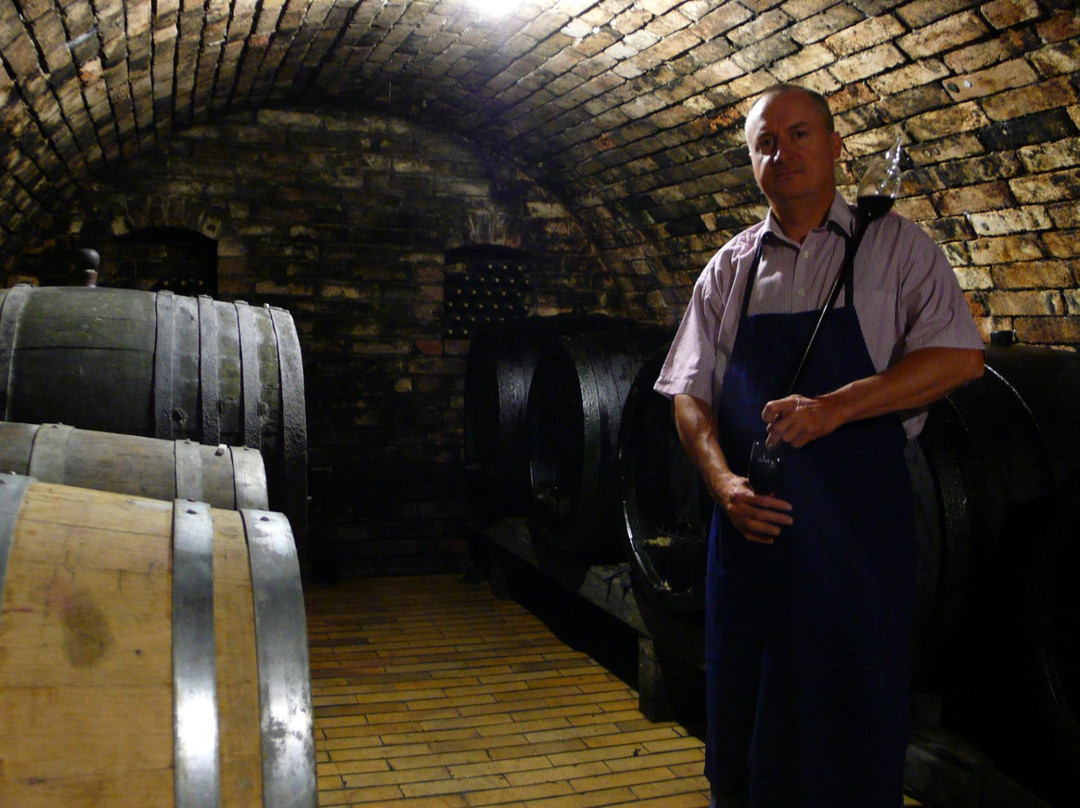 Winery Valka-Nosislav必去景点