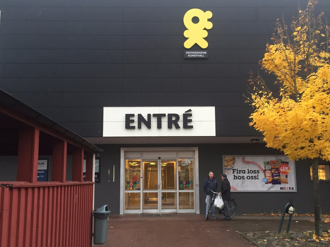 延雪平旅游景点-Österängens Konsthall