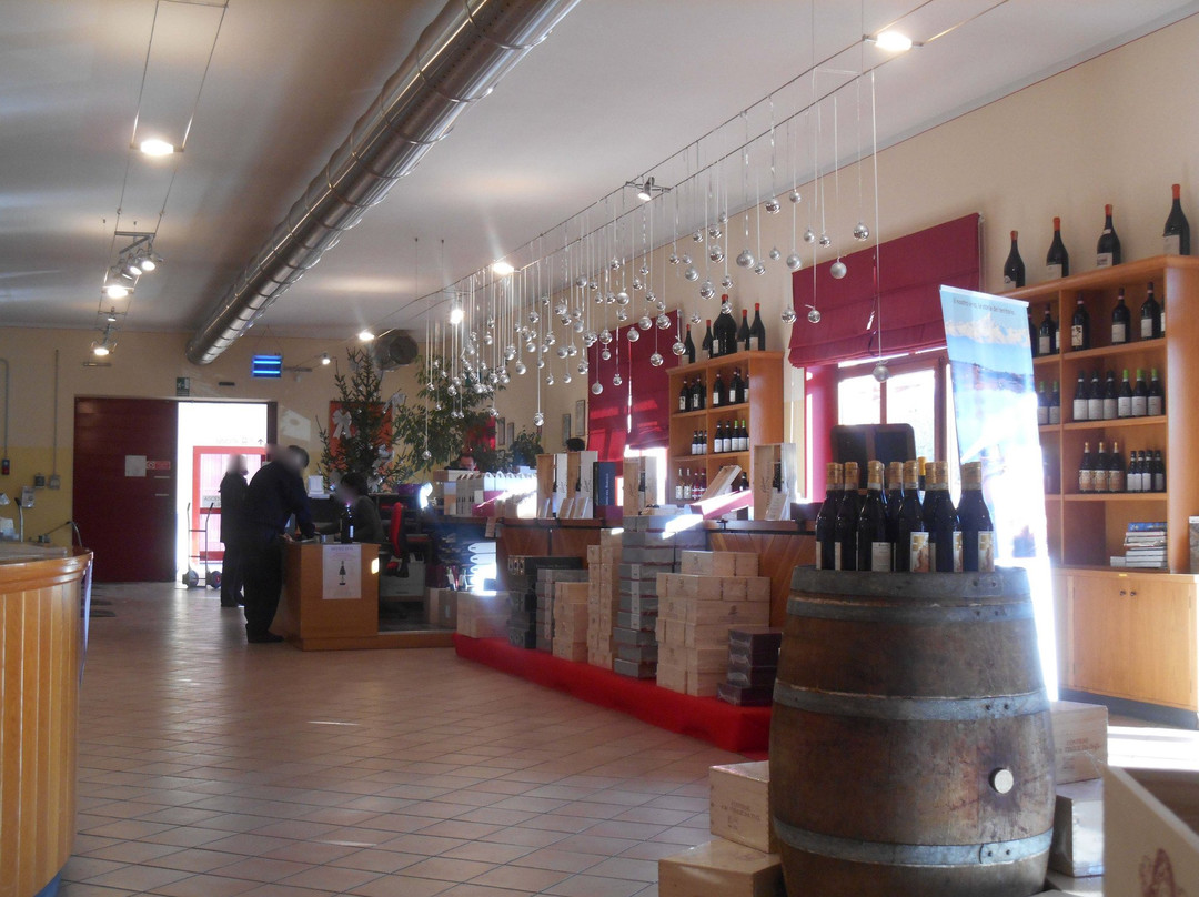 Cantina Terre del Barolo-Castiglione Falletto必去景点